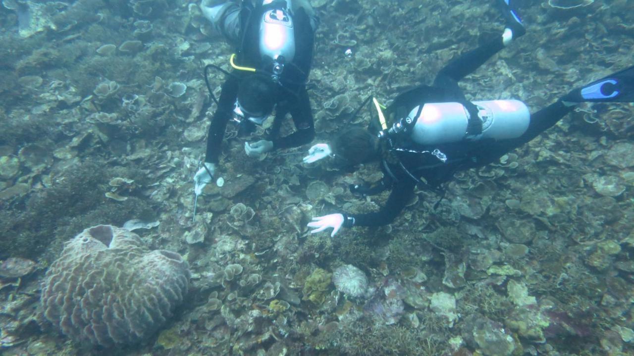 Mahu Lodge Nolot エクステリア 写真